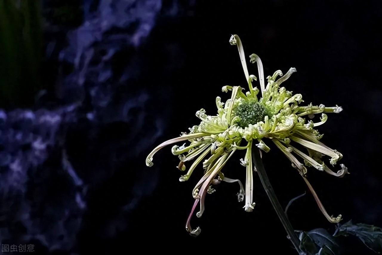 爸爸走了女儿的悲痛文案（悼念逝者的句子的短句）