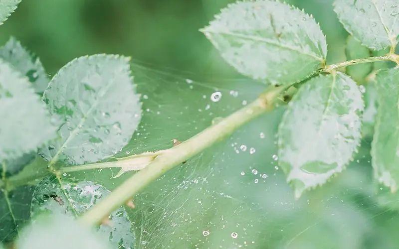 爸爸生日文案简短隐晦精辟（祝爸爸生日快乐文案）