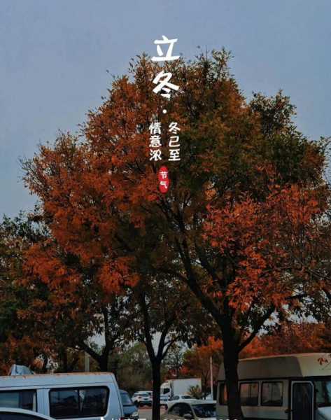 今日立冬文案发朋友圈说说（立冬的句子短句唯美）