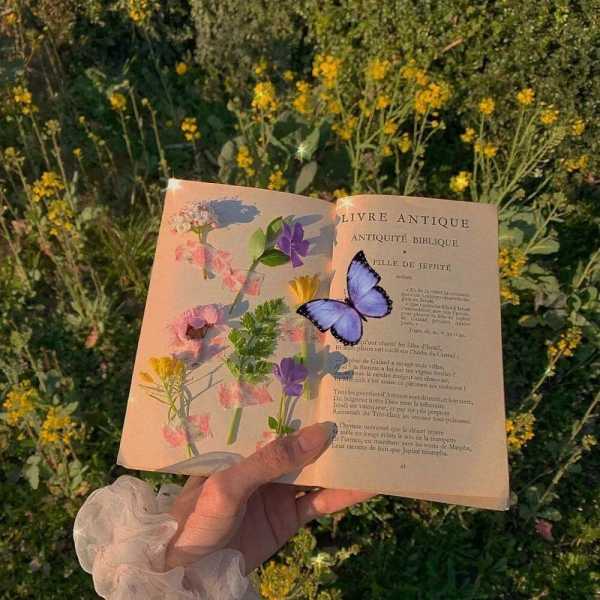 情书文案温柔干净短文（唯美的情书经典语句）