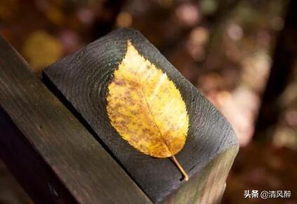 西瓜文案怎么写朋友圈（吃西瓜的句子发说说）