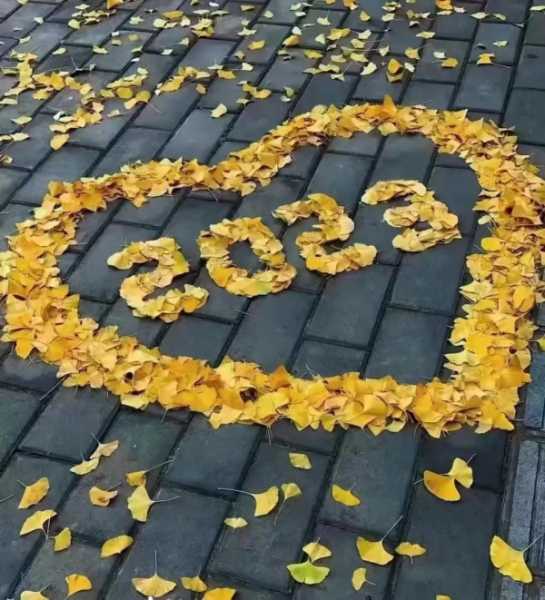 好文案摘抄文艺爱情治愈系（干净文艺短句发朋友圈）