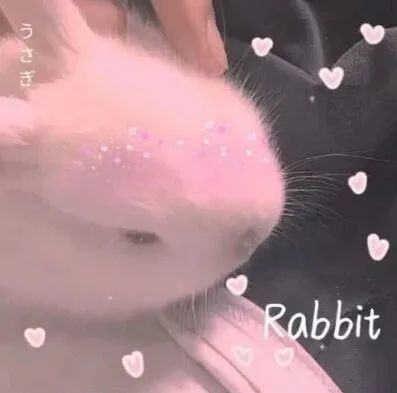 关于蝴蝶的文案短句伤感(超级温柔的文案简短)