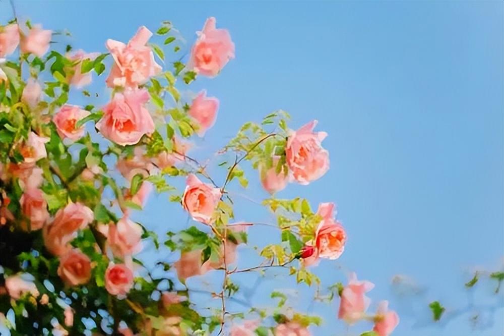 久违幽默句子心情说说（幽默搞笑句子发朋友圈）