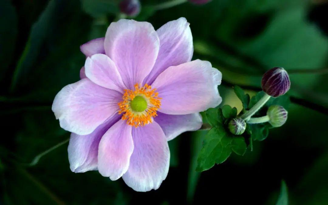 吸引人的美发文案朋友圈(美发店朋友圈宣传文案)