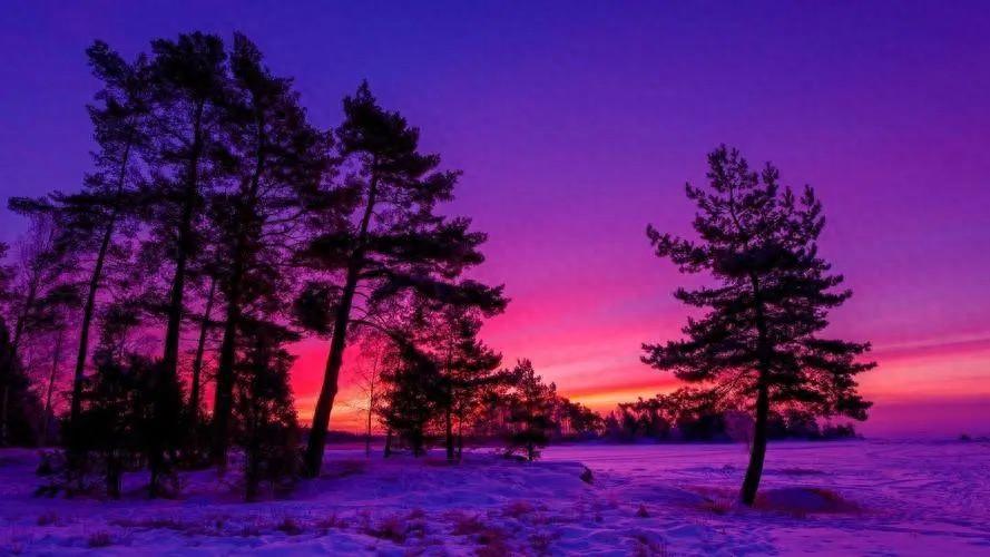 接地气努力厨师文案朋友圈(表达厨艺的幽默风趣句子)