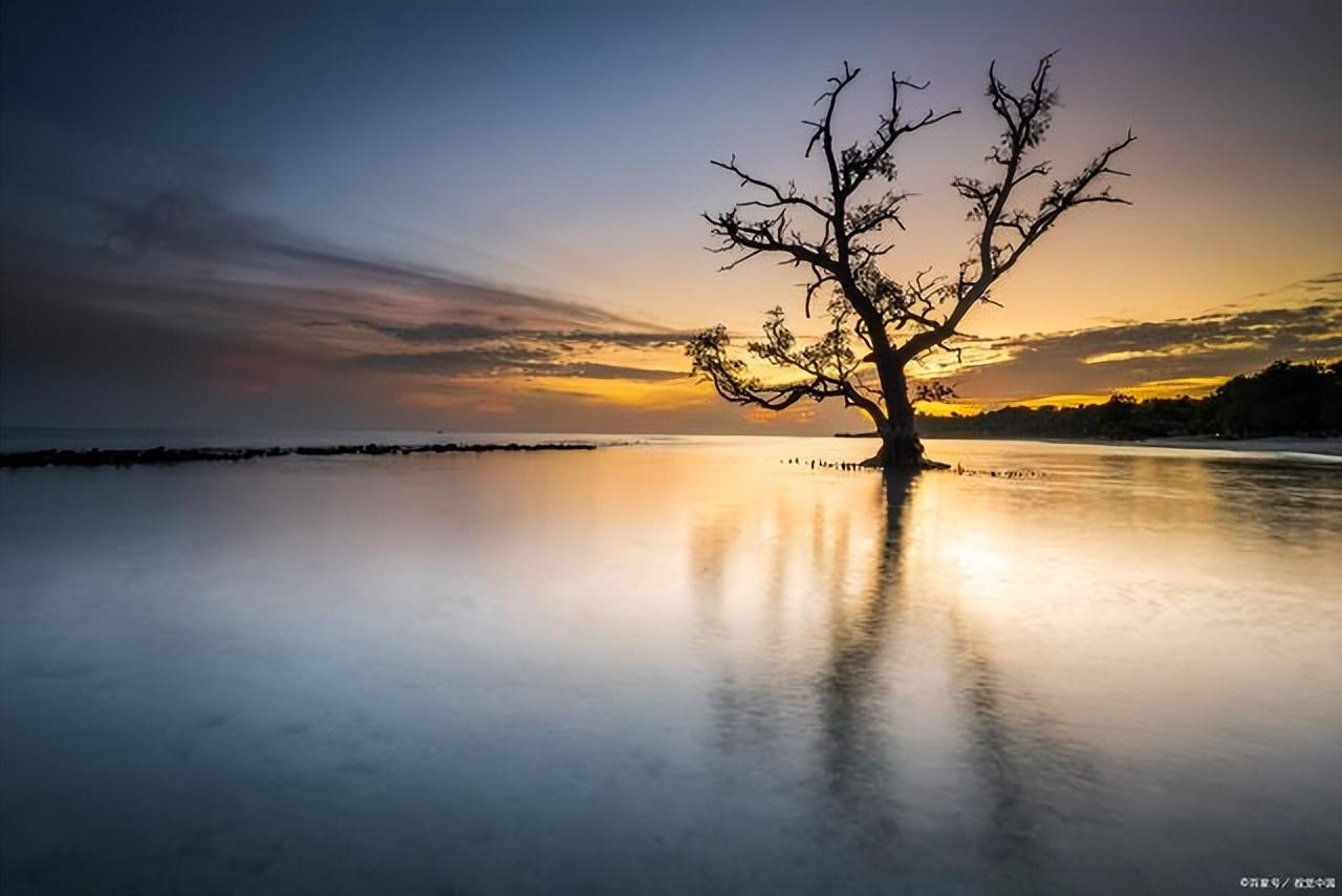 句句深入人心的文案伤感(特别现实的爱情文案长句)