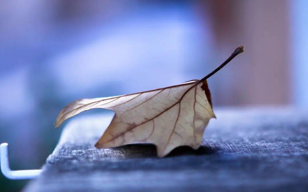 听歌的文案心情的句子（关于音乐走心的文案）