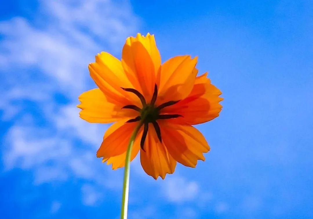 记录美好时光的文案发圈(生活美好时光文艺句子)