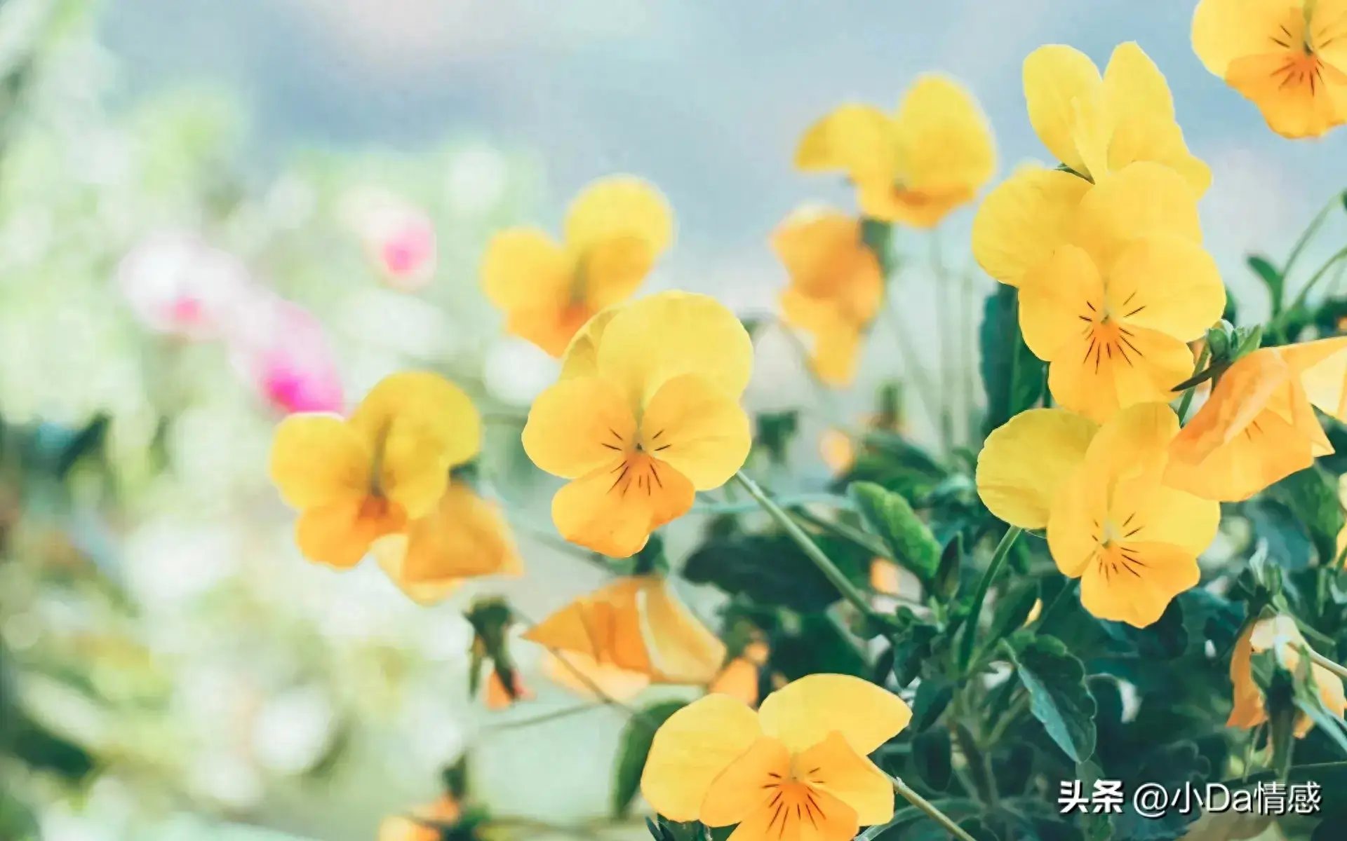 孤独且温柔的文案精选16句(一个人独处的文案伤感)