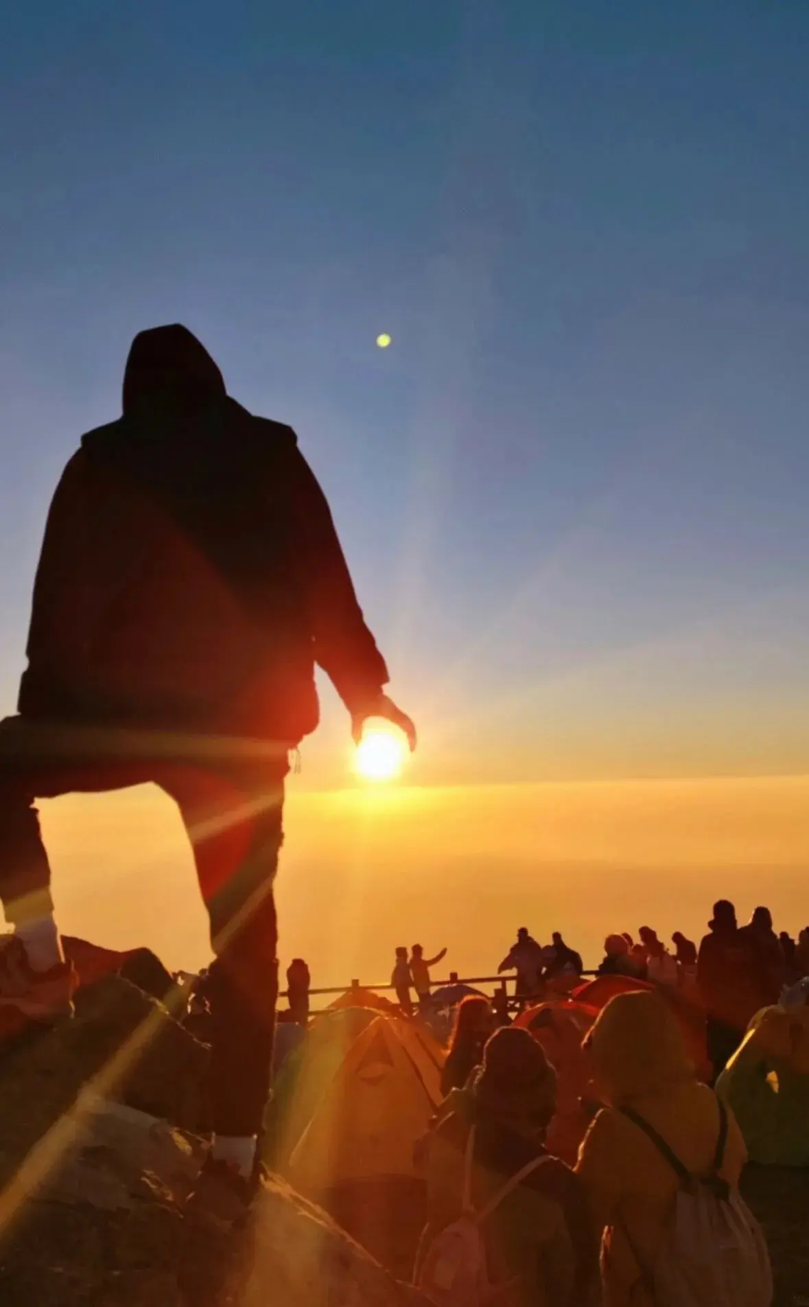 抖音最火的文案句子搞笑（抖音里自由自在的句子）