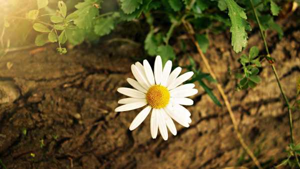 文案短句走心入心句子(阳光励志正能量的短句)