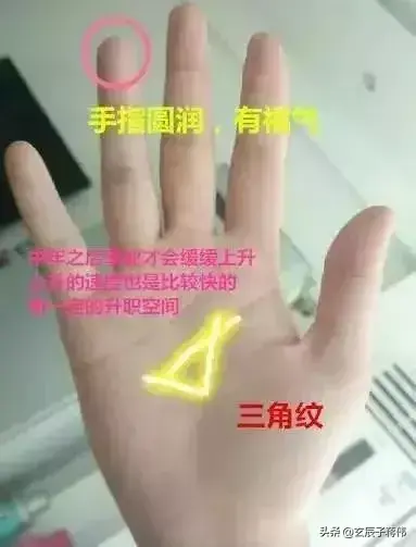 手相三角纹的含义和象征(无名指有米字纹的手相)