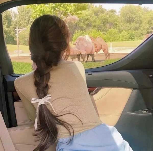 男朋友扛不住的撒娇文案(撩男生荷尔蒙飙升的情话)