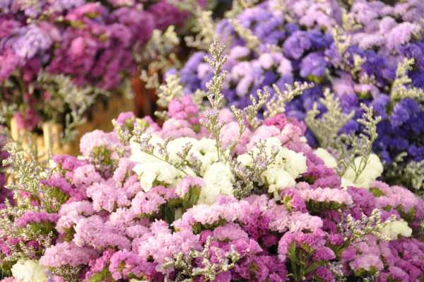 高级伤感温柔又抑郁的文案（温柔惊艳救赎的文案）