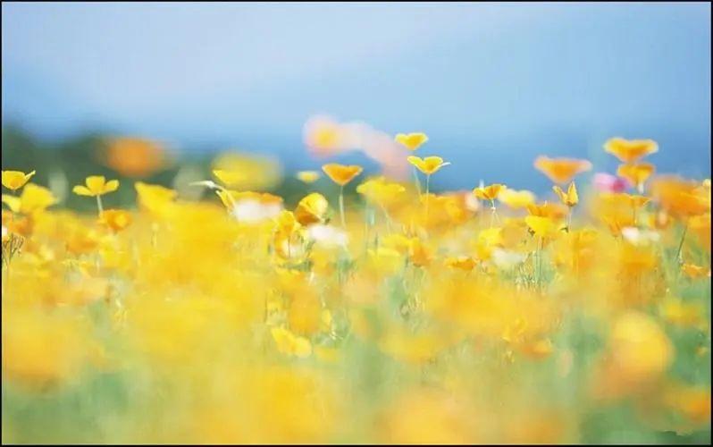 老公生日快乐文案朋友圈(20句老公生日创意句子)