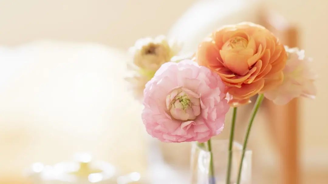 装修发朋友圈文案吸引人（关于装修发朋友圈的语录）