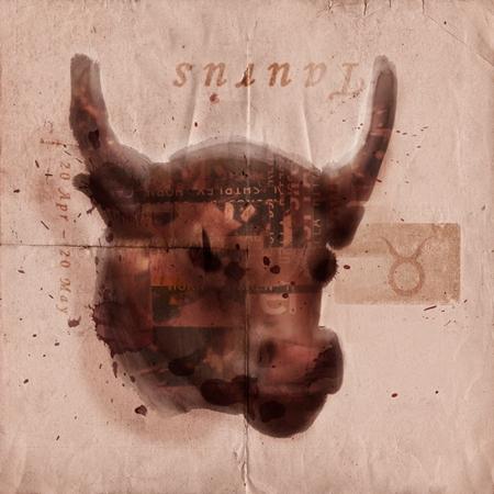 双子男选老婆在意家境吗（十二星座男选老婆的标准）