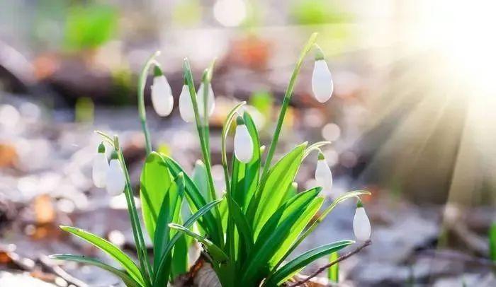 帅气阳光帅哥文案短句发圈（高情商夸人帅的句子幽默）