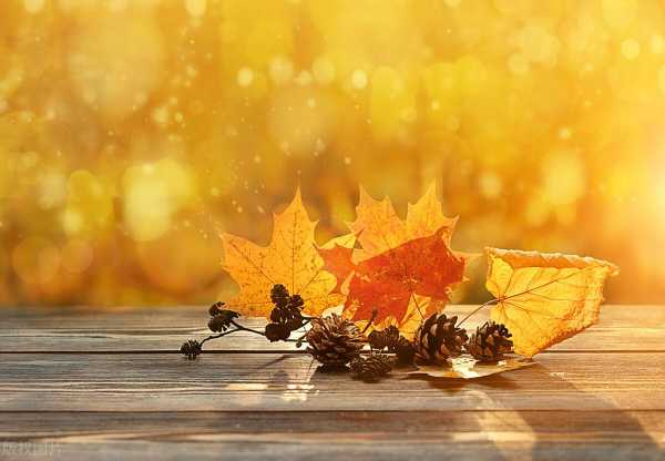 晒自己的视频的唯美句子（晒自己视频的幽默句子）