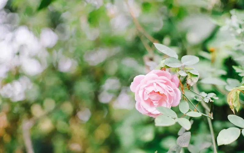 姐妹烧烤文案发朋友圈（烧烤聚会的幽默的话）