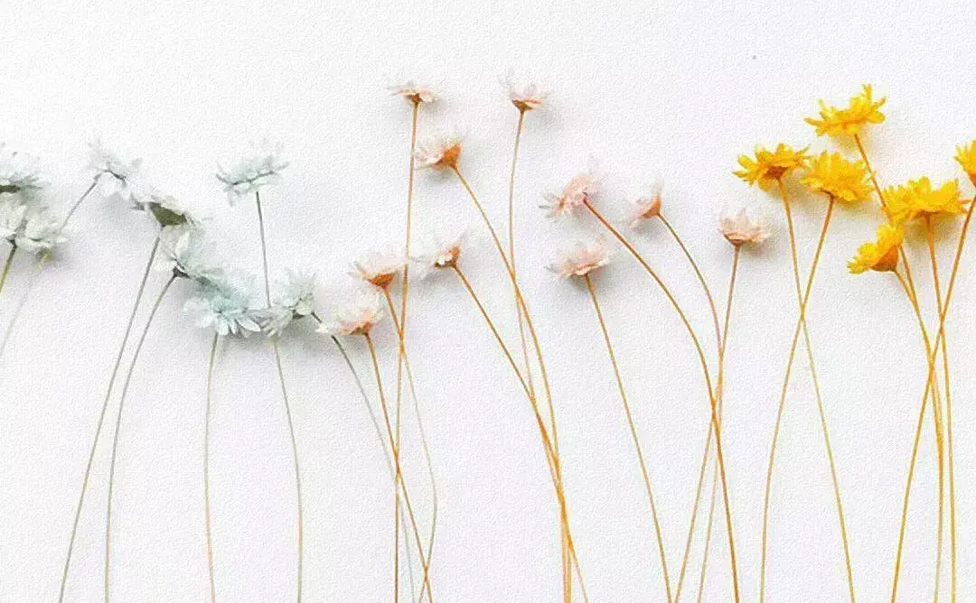 旅游文案发朋友圈唯美句子（旅行简短走心的文案）