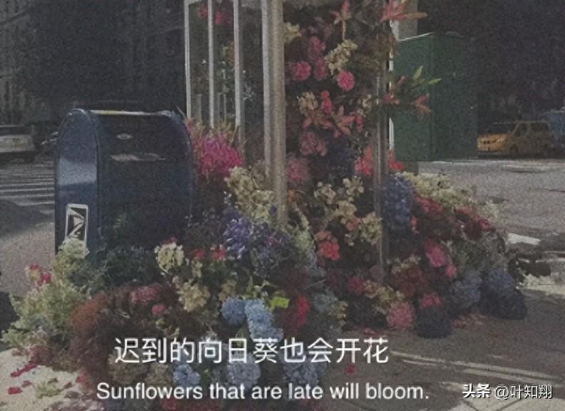 520爱你文案简短唯美（爱到骨子里的爱情文案）