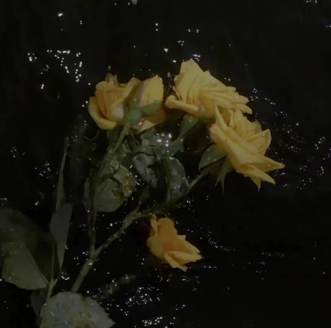 温柔又伤感的状态文案发圈(简短惊艳的微信状态文案)