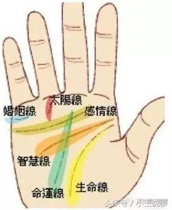 男怕断掌纹女怕川字纹含义(两手都是川字纹的女人详解)