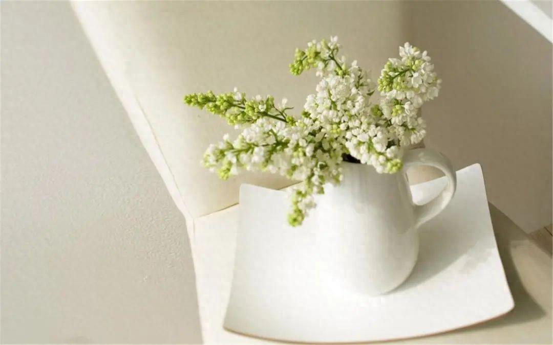 独特女人气质文案发朋友圈(有品味女人的人生格言)