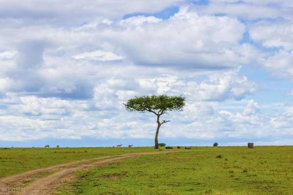 适合发朋友圈的诚信句子(赞美诚信的优美句子短句)