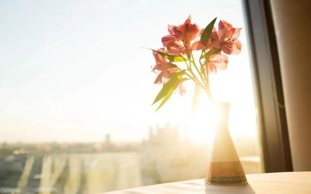 抖音钓鱼文案吸引人的句子(钓鱼幽默句子说说心情)