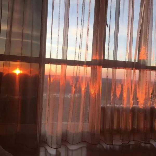 朋友圈低调晒求婚文案（结婚告白语句简单有深意）