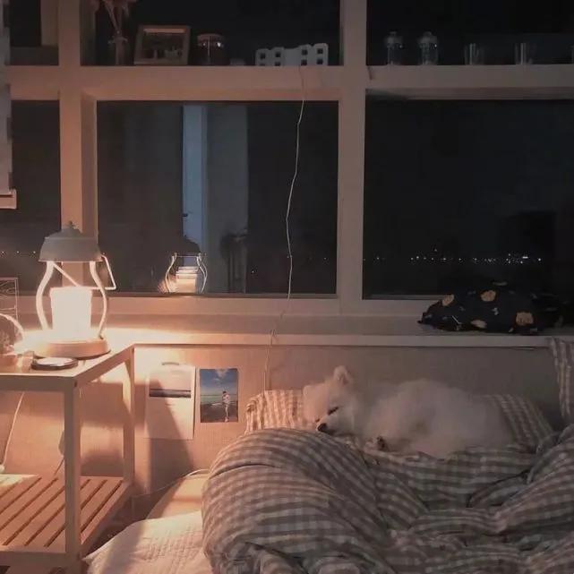 一个人的文案说说心情短语（享受孤独自律的句子）