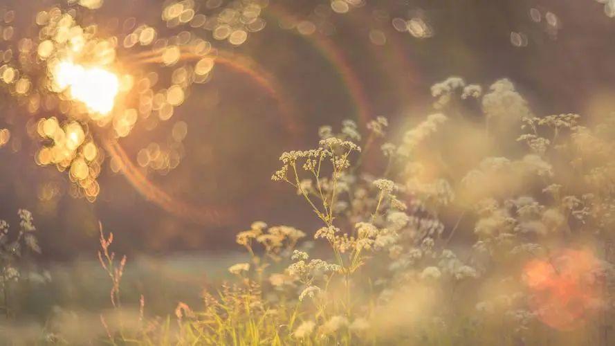 朋友圈吸引客户的文案（朋友圈成交晒单文案）