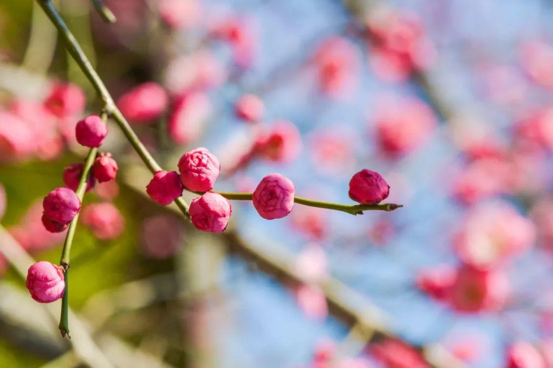 小笑话段子超级爆笑大全(幽默风趣冷笑话短句)