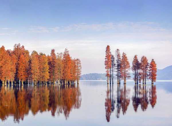 情感书单文案大全朋友圈（情感语录最新爆款文案）