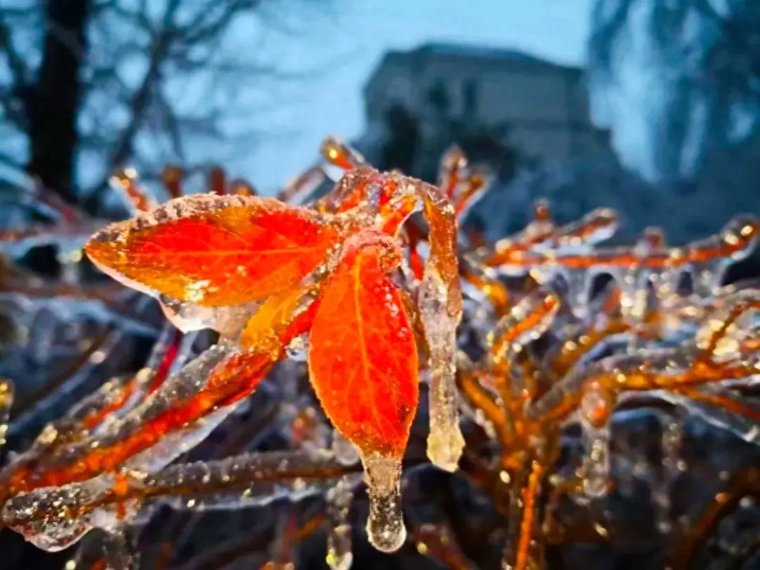 小众文案伤感青春短句（适合冬日发的小众温柔文案）