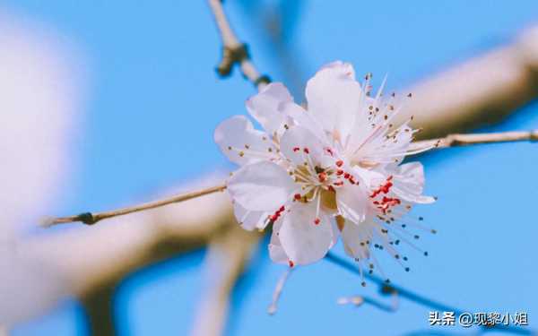 三观很正的文案的感情短句（三观很正的优质文案）