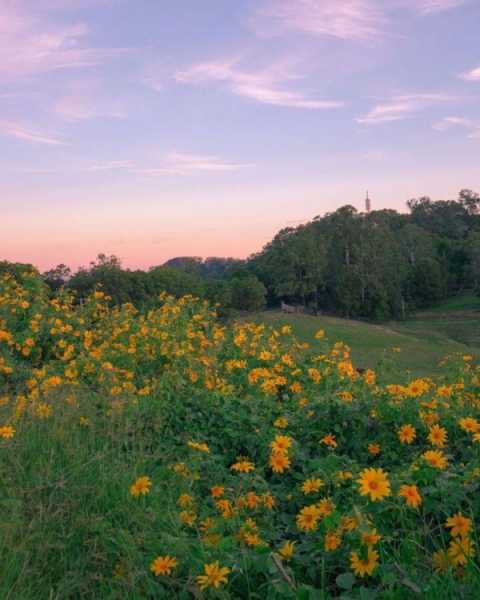 一个人走路文案上热门句子(走路个人语录经典短句)