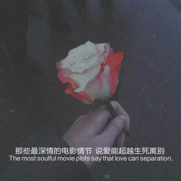 爱情丧气文案语录干净（文案丧到想哭的伤感句子）