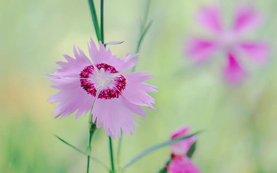 女人短发霸气文案朋友圈（刚换新发型的幽默句子）