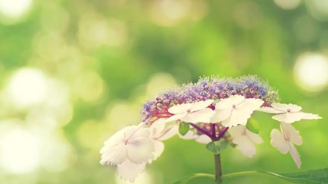 人与人之间相遇文案句子（有幸相遇的暖心文案）