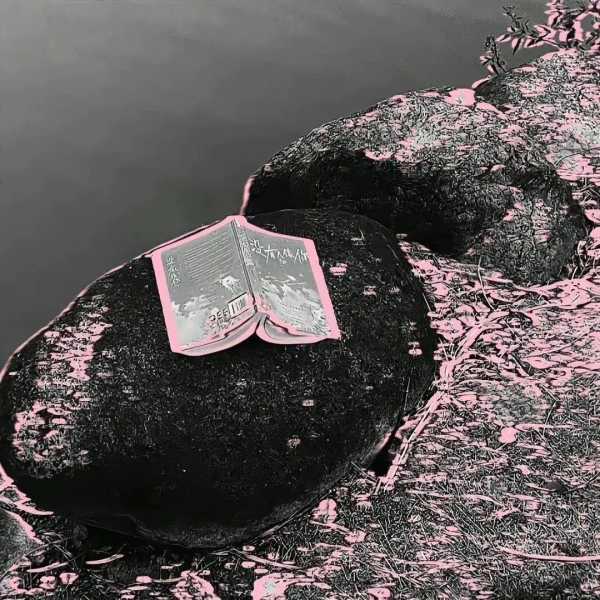 关于青春的文案短句唯美（适合发朋友圈的青春短句）