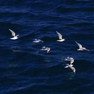 希望从幼稚成熟稳重的文案（成熟稳重的朋友圈文字）