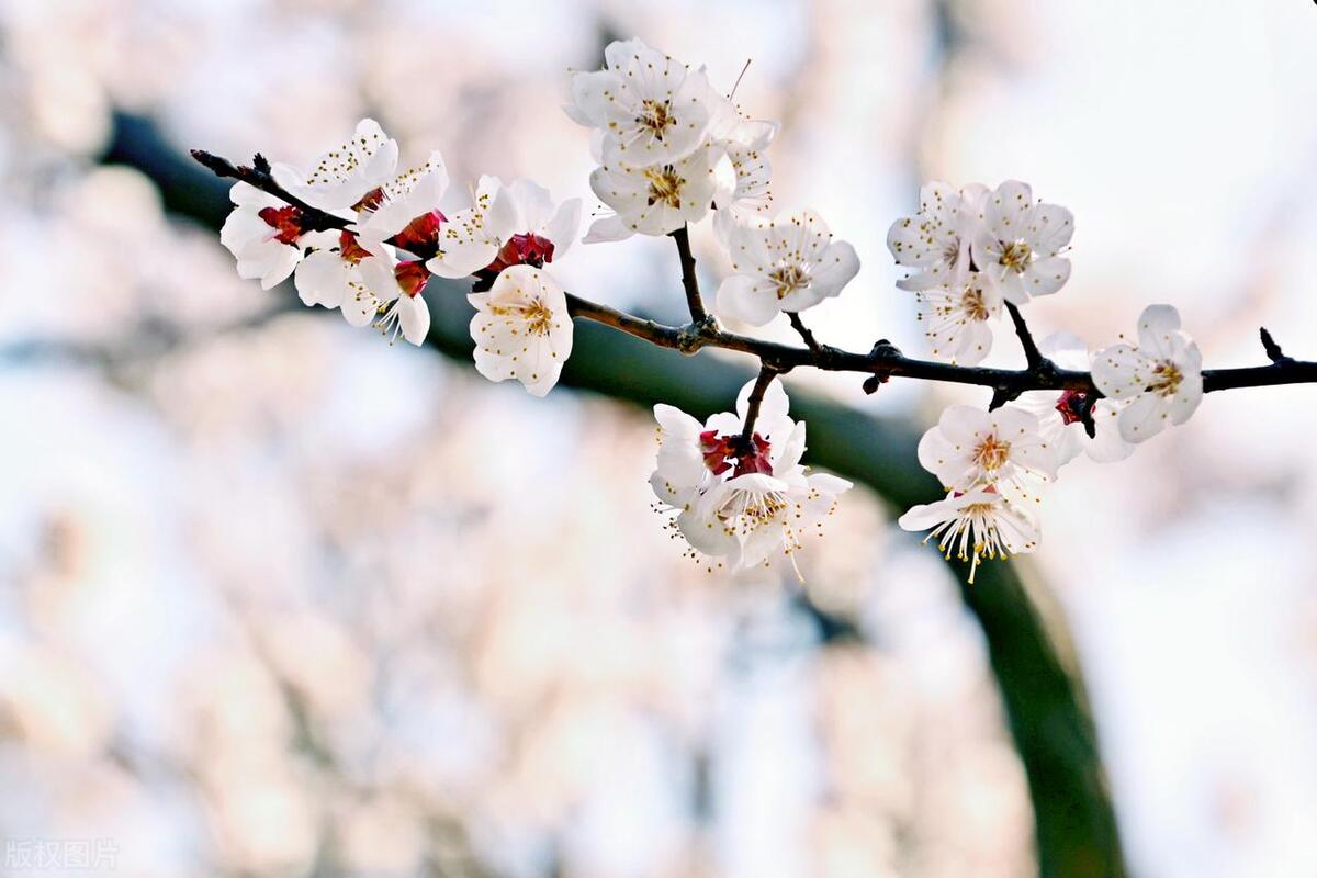 努力自律的文案励志话（高级自律且人间清醒的文案?）