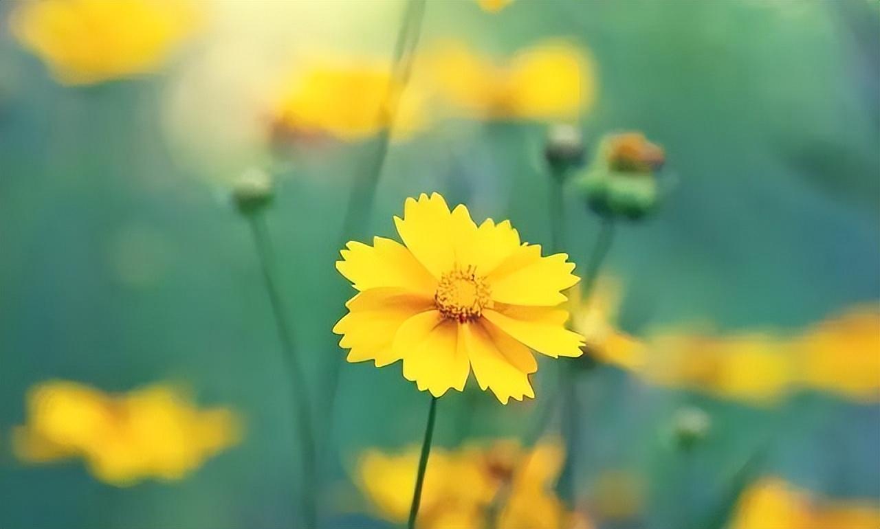 心情伤感心痛的句子说说（触碰灵魂的生活感悟）