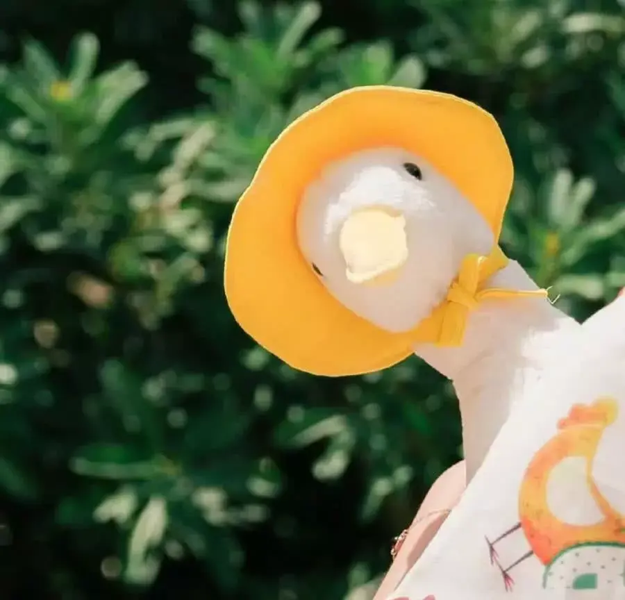 憨憨可爱的文案朋友圈说说(憨憨搞笑朋友圈文案)