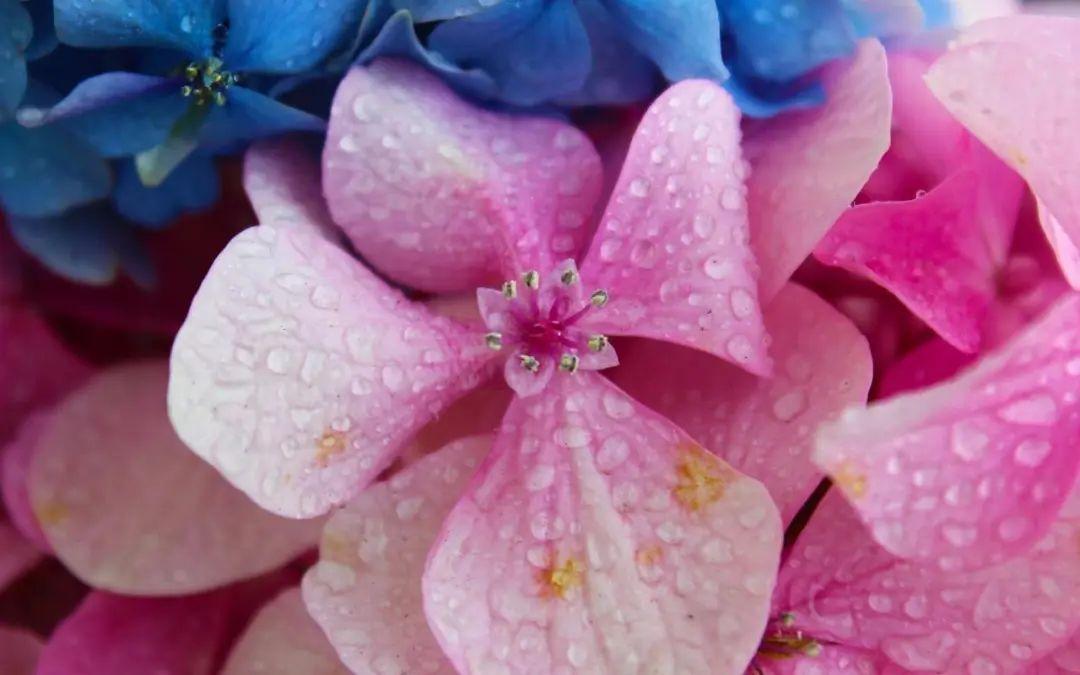 孩子健康快乐成长就好文案（祝愿孩子健康快乐的话）