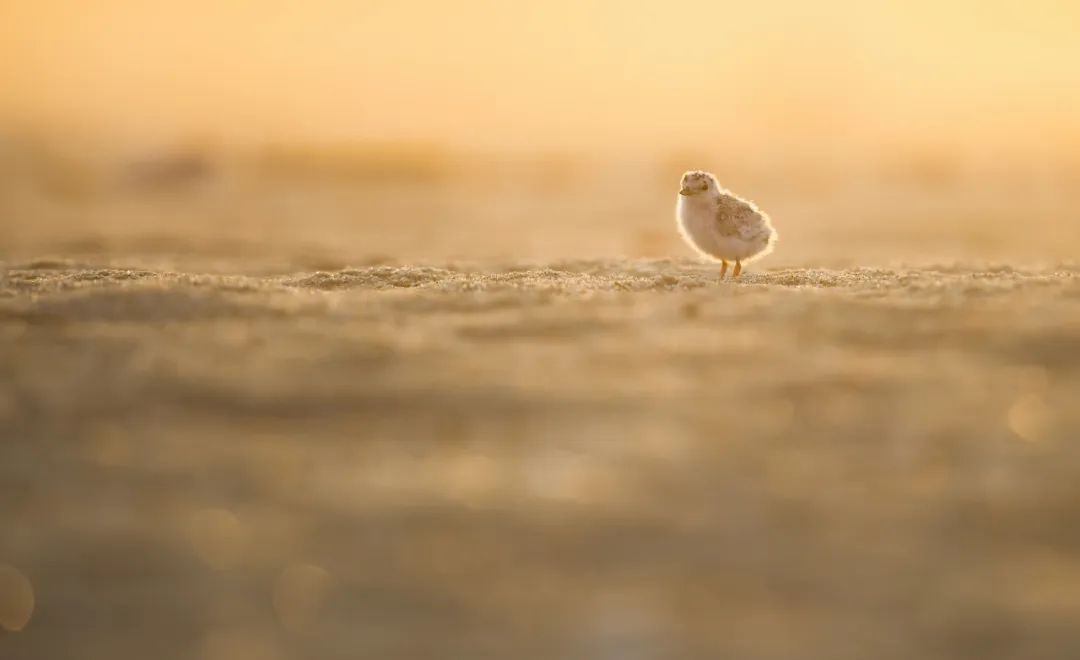 双鱼座最新2024运势女(2024年吉运当头的星座)